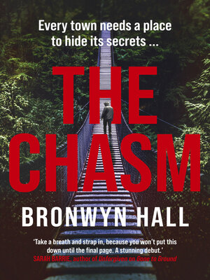 cover image of The Chasm